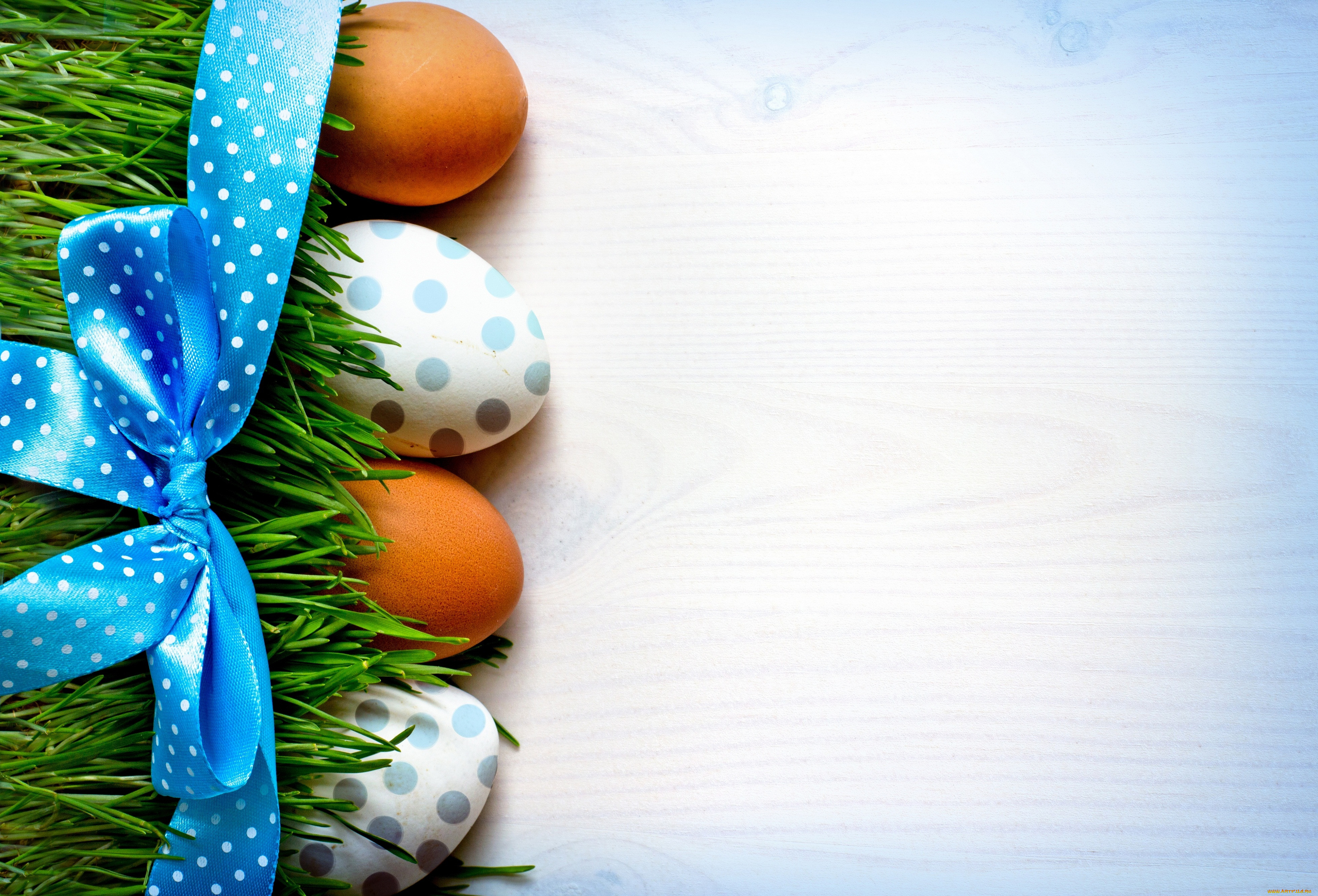 , , , easter, , , , 